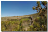 Cape Epic 2009